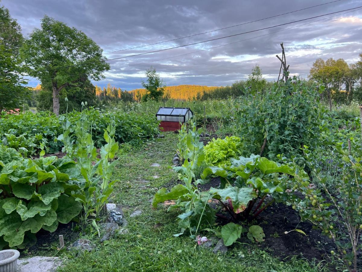 Lilla Backstugan Nora  Buitenkant foto